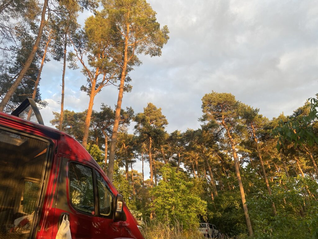 Abendstimmung am Oberuckersee